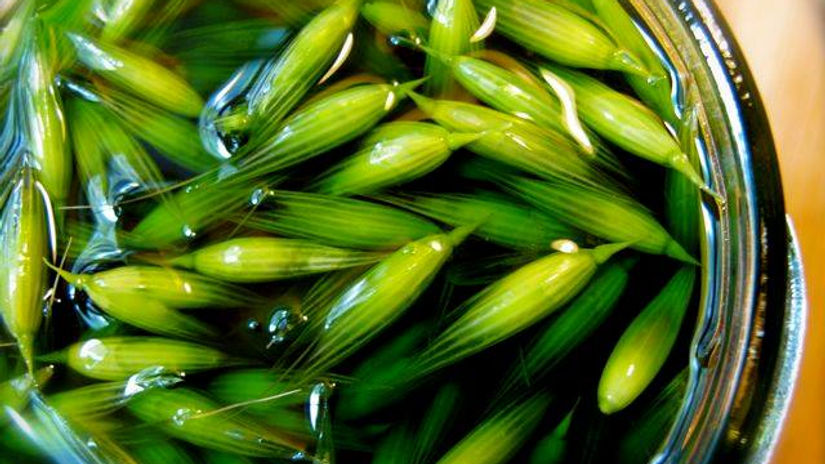 Endocrine System - Man-o-pause